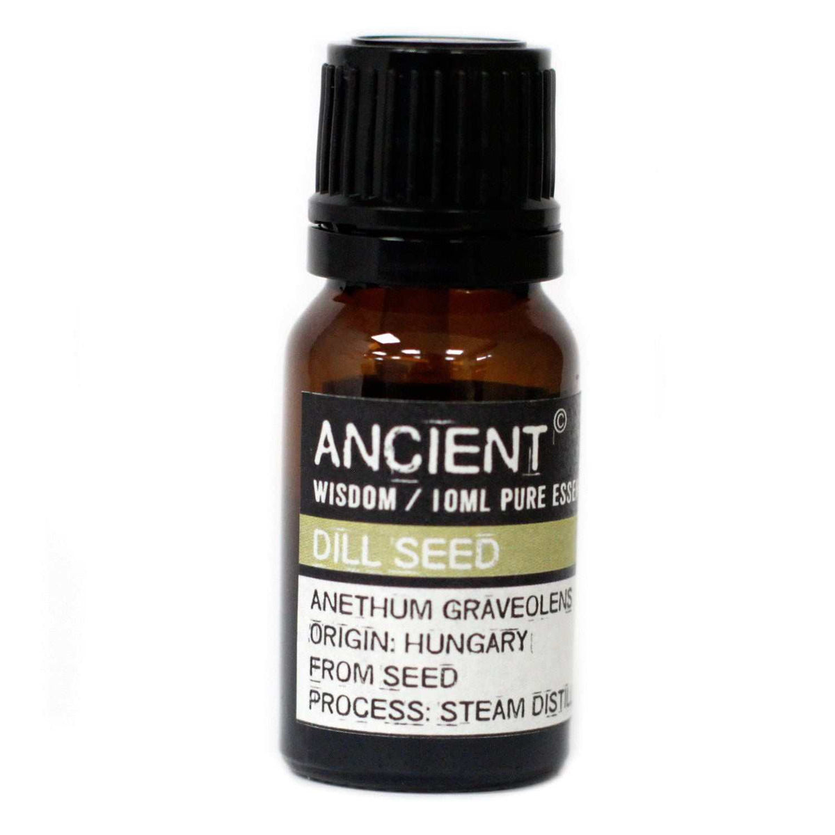 10 ml bottle of Dill Seed Essential Oil with seeds and green leaves background
