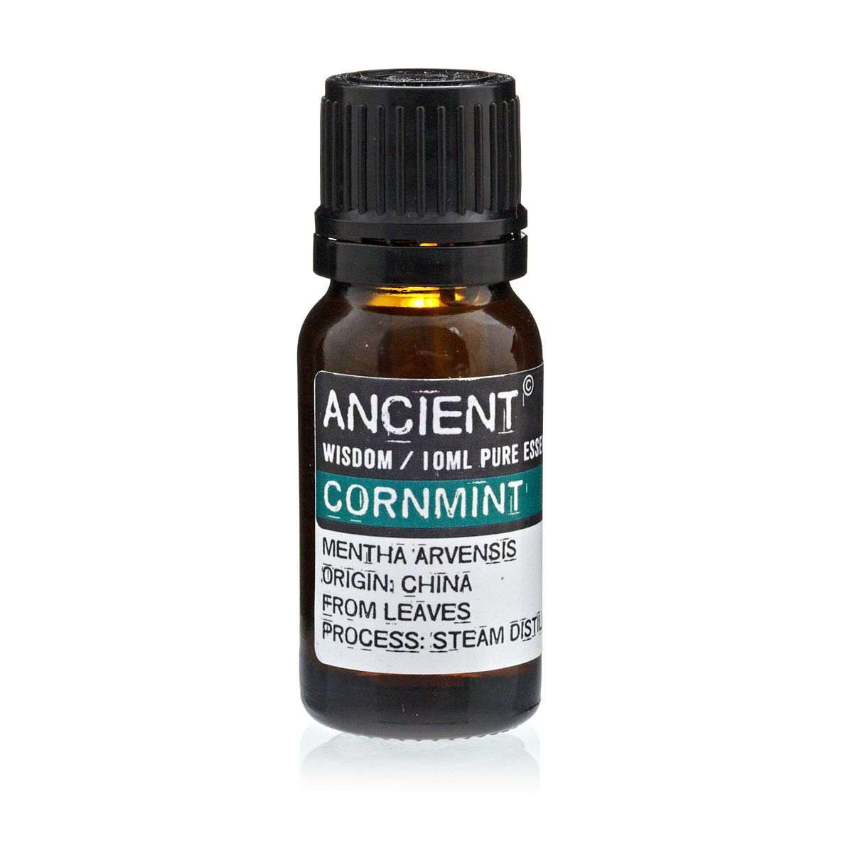 10 ml bottle of Cornmint essential oil from Mentha Arvensis leaves, used for therapeutic and digestive benefits