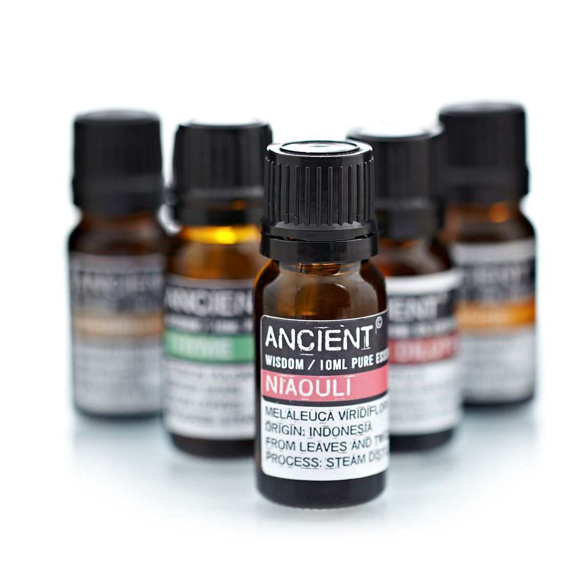 10 ml bottle of Niaouli Essential Oil from Indonesia with therapeutic benefits for respiratory and skin issues