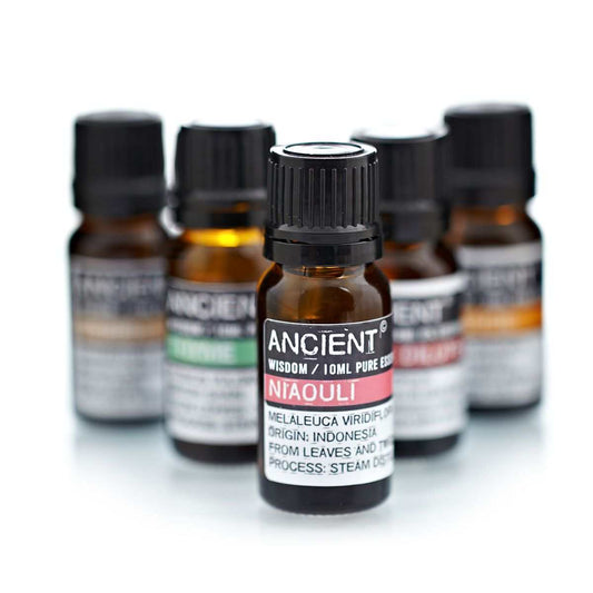 10 ml bottle of Niaouli Essential Oil from Indonesia with therapeutic benefits for respiratory and skin issues