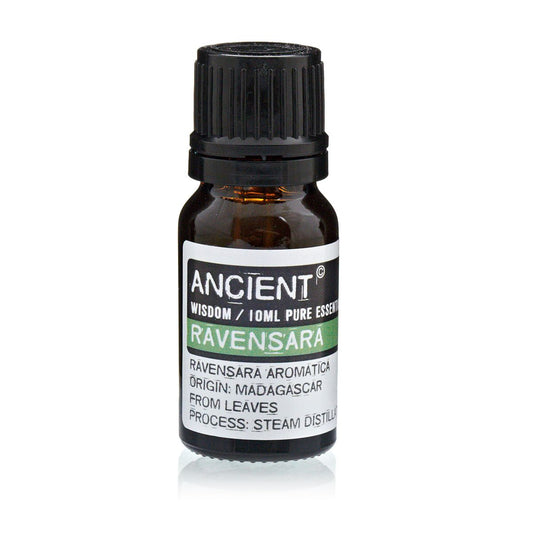 10 ml bottle of Ravensara Essential Oil from Madagascar for aromatherapy and respiratory relief