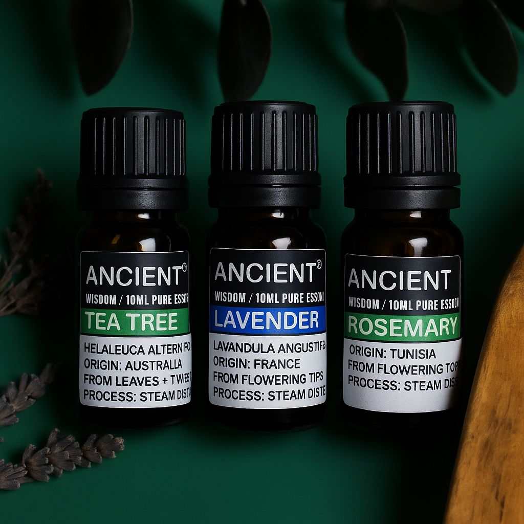 Set of 10ml Lavender, Tea Tree, and Rosemary essential oils for aromatherapy and relaxation