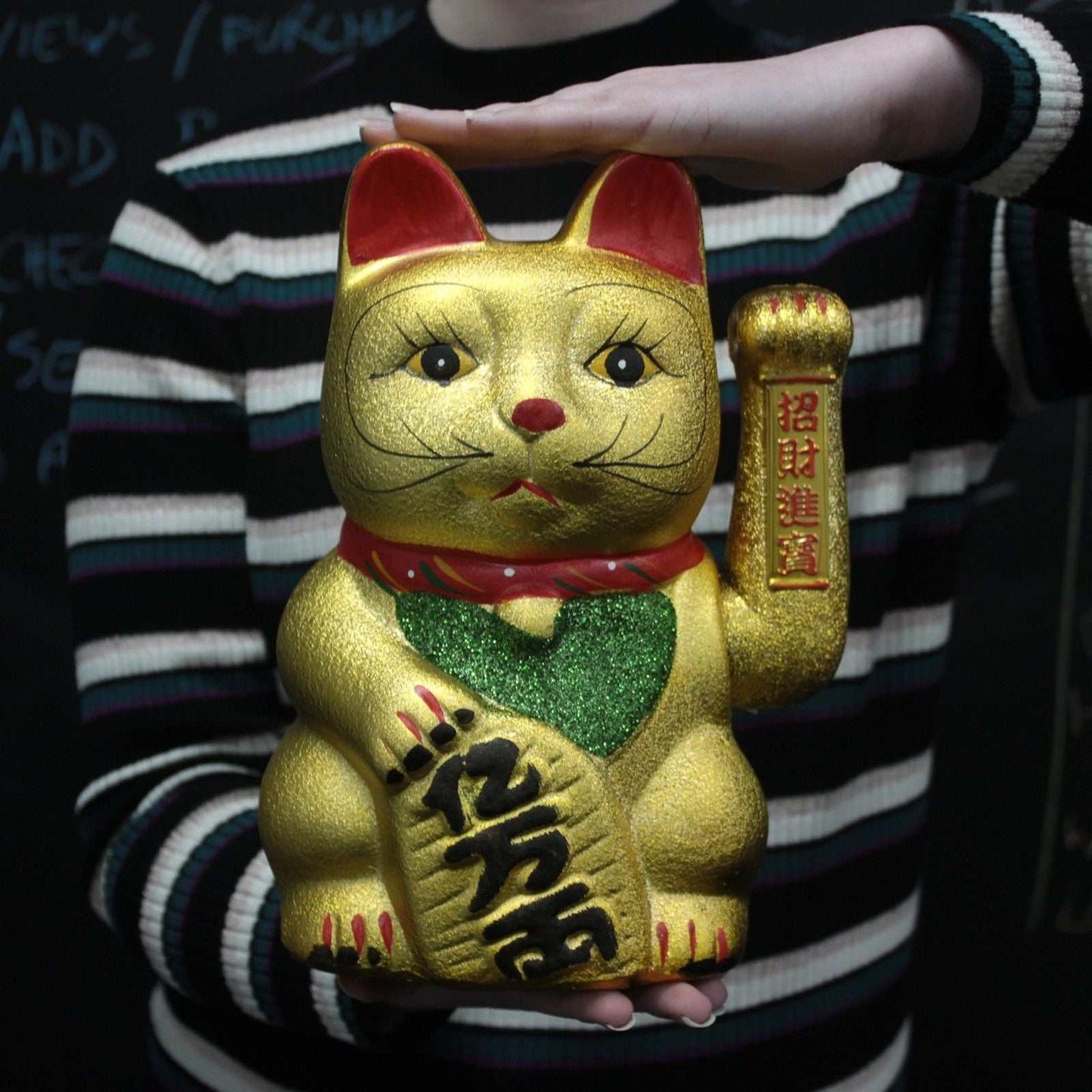 V.Large Money Cat